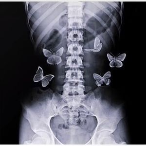 Meet your Posher, Paigey